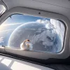 Un Lebădă de Pluș la Bord: Misiunea Spațială Privată Axiom 4 a Lansat o Jucărie ca Indicator de Zero-G