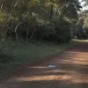 Bărbat de 36 de ani, atacat pe o potecă din Balve, Germania. Poliția caută martori