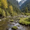 Tragedie în Austria: Turist german a murit după o cădere de 15 metri sub ochii prietenului
