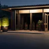 Hoț mascat a furat doi palmieri dintr-un restaurant din Germania: Poliția caută martori