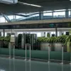 Peste 50 kg de khat confiscat la aeroportul BER de la un pasager israelian