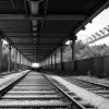 Bărbat din Mali amendat în Germania după ce a traversat liniile de cale ferată la Offenburg