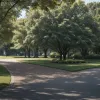 Bărbat necunoscut, surprins în timp ce onana public într-un parc din Stuttgart; poliția cere ajutor