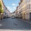 Şofer a lovit un câine în Germania şi a fugit: animalul a murit