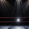 O vedetă WWE a dezvăluit o surpriză "gigantică": ce ar trebui să aștepte fanii?