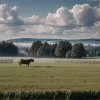 Spermă de taur în valoare de 30.000 de euro declarată furată pe o fermă din Germania, dar a fost doar rătăcită. Poliția continuă investigația.