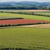 Controversă în Germania: Președintele fermierilor vrea să plătească muncitorii sezonieri sub salariul minim