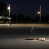 Bătaie cu bâta de baseball în Gera: Adolescenți răniți