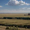 Actualizare de pe frontul din Ucraina: Bătălii în Sumy și avans în Donețk
