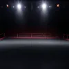 Fame Fighting 3: Primii concurenți anunțați pentru spectacolul de lupte între celebrități din Essen