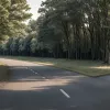 Bărbat dispărut, găsit mort în Germania: trupul, descoperit lângă scuterul său