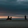 Poliția a împușcat un câine ciobănesc de Berna pe insula germană Sylt, după ce a mușcat stăpânul și a atacat un ofițer