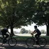 Tentativă de agresiune sexuală în Hamburg: Fetiță de 8 ani, ținta unui bărbat pe bicicletă