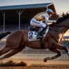 Derby-ul German de Galop în Hamburg: Două femei vor să facă istorie