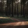 Ciclist decedat în Germania: Un bărbat de 36 de ani a murit după o cădere de pe bicicleta electrică