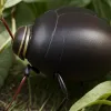 Omida tropicală a bumbacului, o amenințare crescândă pentru agricultura europeană pe fondul schimbărilor climatice