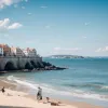 Pescărușii agresivi amenință vacanțele în Croația: autoritățile locale intervin cu soluții