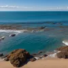 Alertă de alge în Marea Mediterană: Până la 78 de tone pe zi de alge brune sufocă plajele spaniole