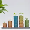 Bani sub control: Experți dezvăluie soluții pentru provocările financiare