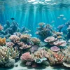 Acvariile SEA LIFE: O Călătorie Fascinantă în Lumea Acvatică și Eforturile de Conservare
