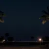 Florida: O femeie a scăpat cu greu de o tentativă de răpire după un jaf armat