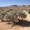 Mallorca se confruntă cu o criză acută de apă: restricții severe pentru turiști și localnici