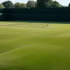 Wimbledon 2025: Djokovic și Sinner intră în competiție – unde poți urmări meciurile live