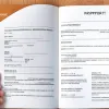 Birocrație germană de necrezut: Un copil de 4 ani, pus să-și semneze singur pașaportul