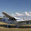 Incident aviatic în Germania: Pilotul a aterizat un avion Cessna pe un drum agricol după pană de motor