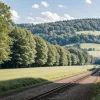 Vacă evadată a creat agitație pe drum în Germania: Salvată cu ajutorul hranei pentru animale