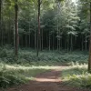 Dublu asasinat în Germania: O mamă din Ucraina și fiica sa, găsite moarte. Un adolescent reținut