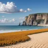 Invazie de buburuze în Marea Britanie: Turiștii fug de pe plaje, iar un meci de crichet a fost întrerupt