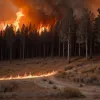 Incendiu forestier masiv lângă Dresda: Peste 100 de pompieri luptă cu flăcările pe fondul secetei și caniculei