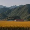 Coreea de Nord: Kim Jong-un produce seriale TV cu "probleme reale" pentru o nouă propagandă