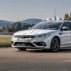 Poliția din Heidelberg a salvat o barză epuizată de pe marginea autostrăzii B37