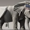 Conflict deschis Musk-Trump: Miliardarul vrea să finanțeze "dușmanul de moarte" al președintelui pe fondul dispute pe buget