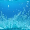 Plastiful care se dizolvă în apă sărată: O inovație japoneză ar putea salva oceanele?