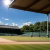 Wimbledon: Nou record de viteză la serviciu stabilit de un tânăr jucător francez – 246 km/h