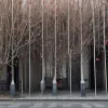 Serialul "Unter uns": Ce se întâmplă în episodul din 1 iulie 2025? Previziuni din Schillerallee