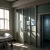 Maja T., membră a „Bandei Ciocanului”, transferată la spitalul penitenciar în Ungaria după greva foamei