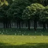 Fenomen extrem: Grindină masivă în sudul Germaniei în timpul caniculei