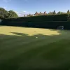 Wimbledon 2025: Eliminare șocantă a lui Zverev în prima rundă, program și favoriți