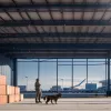 Câine vamal a descoperit droguri de 600.000 € pe aeroportul din Köln