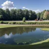 Pompierii din Germania au salvat sute de pești dintr-un iaz, afectați de lipsa de oxigen cauzată de caniculă