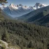 Atac de puma în Parcul Național Olympic din SUA: un copil de 4 ani a fost rănit, animalul a fost ucis