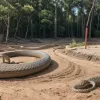 Construcția supermarketurilor în Germania, oprită din cauza șerpilor care se împerechează