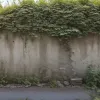 Germania: Graffiti cu svastică descoperite în Groß-Umstadt, poliția investighează