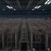 Agenția Federală de Muncă din Germania: Eficiență record-scăzută la plasarea locurilor de muncă, pe fondul creșterii costurilor