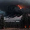 Incendiu forestier în Saxonia: Flăcările continuă să facă ravagii în districtul Meissen