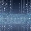 Antreprenoarea Tijen Onaran: Cum copiii din familii muncitorești salvează economia noastră